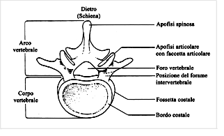 Clicca per ingrandire